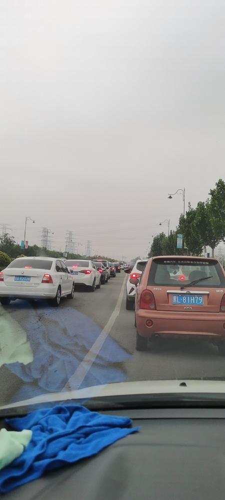 东丽湖交通堵塞,地铁何时有_留言详情_天津政务网