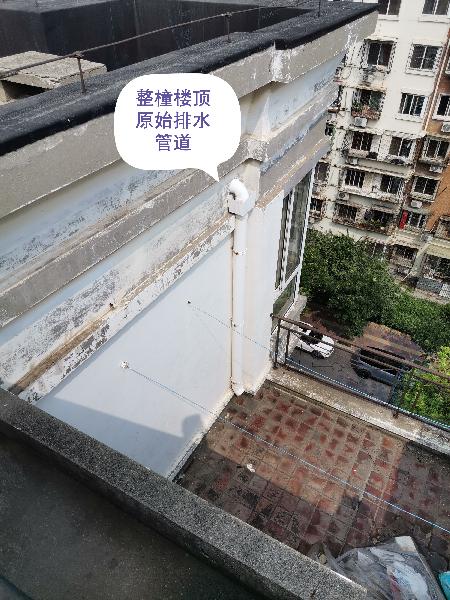 屋顶无组织排水图片